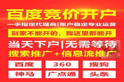 竞价推广SEM托管服务案例解析